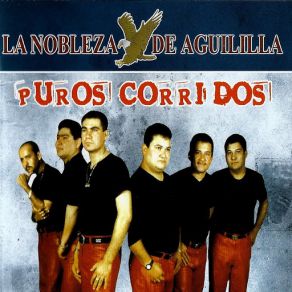 Puros Corridos album cover