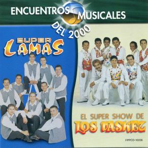 Encuentros Musicales (El Show De Los Vasquez) album cover