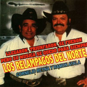 Llegaron, Triunfaron, Se Fueron album cover