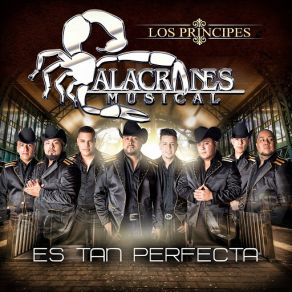 Es Tan Perfecta (Single) album cover