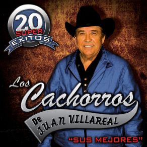 20 Super Exitos album cover