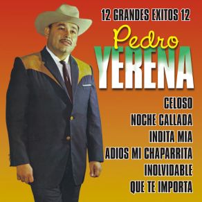 12 Grandes Exitos album cover