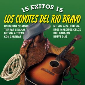 15 Exitos album cover