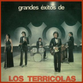 Grandes Éxitos De Los Terricolas (CD2) album cover
