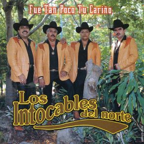 Fue Tan Poco Tu Carino album cover