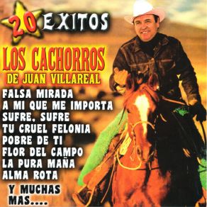 20 Exitos album cover