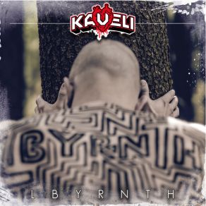 Labyrinth album cover