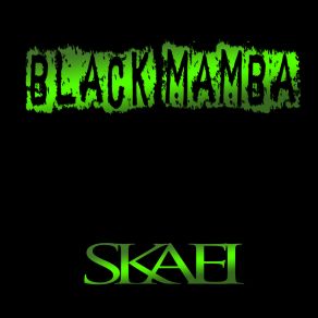 Black Mamba (Maxi-Single) album cover