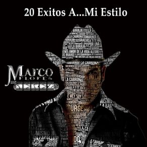 20 Exitos A… Mi Estilo album cover