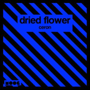 Ceron (Single) album cover