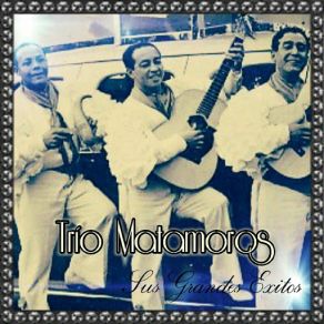 Trío Matamoros - Sus Grandes Éxitos album cover