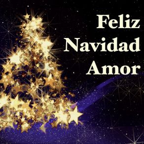 Feliz Navidad Amor - La Mejor Playlist De Navidad Para Celebrar Las Fiestas Con Tu Amor Y Familia album cover