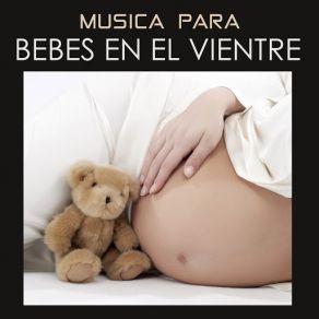 Musica Para Bebes En El Vientre Materno album cover