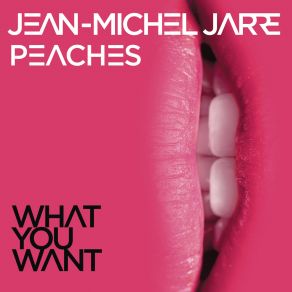 What You Want (Single) album cover