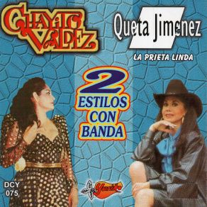 2 Estilos Con Banda album cover