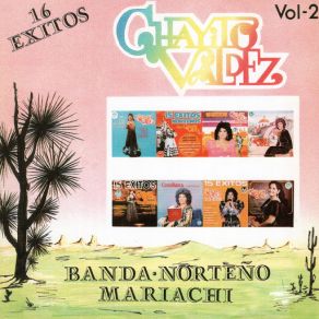 Banda Norteno Mariachi, Vol. 2 album cover