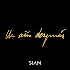 Un Año Después (Single) album cover