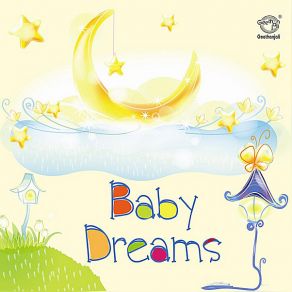 Baby Dreams album cover