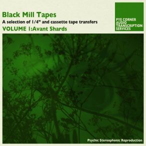 Black Mill Tapes Vol​. ​1 - Avant Shards album cover