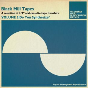 Black Mill Tapes Volume 2: Do You Synthesize album cover