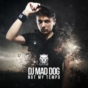 Not My Tempo (Maxi-Single) album cover