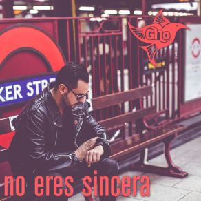 No Eres Sincera (Single) album cover