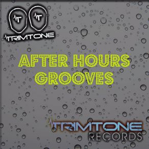 After Hours Grooves (Maxi-Single) album cover