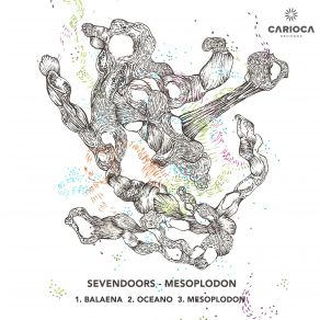 Mesoplodon (Maxi-Single) album cover