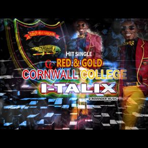 Cornwall College Alumni (Single) album cover