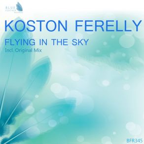 Flying In The Sky (Single) album cover