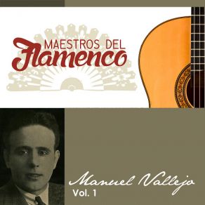 Maestros Del Flamenco, Vol. 1 album cover