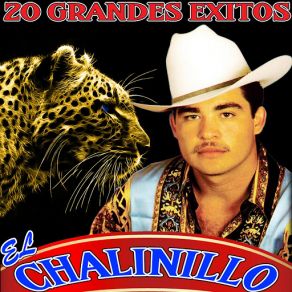 20 Grandes Exitos album cover