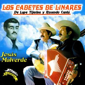 Jesus Malverde album cover