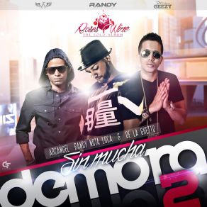 Sin Mucha Demora 2 (Arcangel & De La Ghetto) (Single) album cover