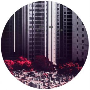 I Will Follow You album cover