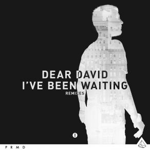 Ive Been Waiting Remixes (Maxi-Single) album cover