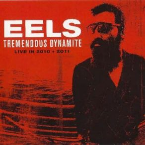 Tremendous Dynamite Live In 2010 And 2011 album cover