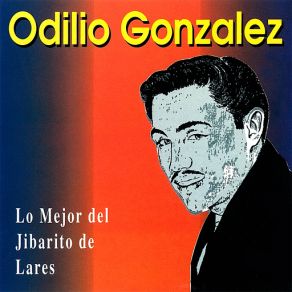 Lo Mejor Del Jibarito De Lares album cover