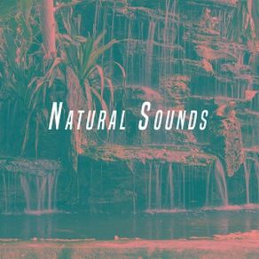 Nature Sounds album cover