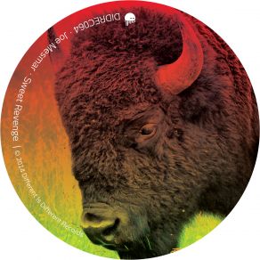 Sweet Revenge (Maxi-Single) album cover