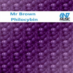 Mr Brown (Maxi-Single) album cover