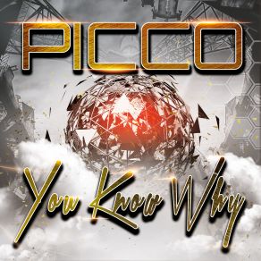 You Know Why (Maxi-Single) album cover