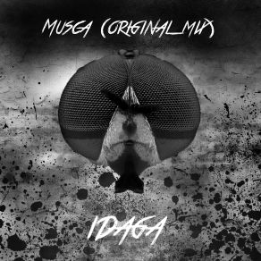 Musca (Single) album cover