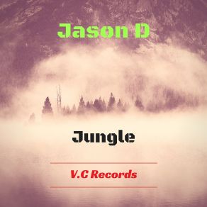 Jungle (Maxi-Single) album cover