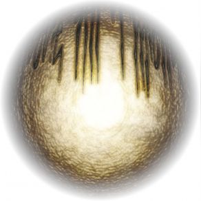 To Dust album cover