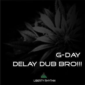 Delay Dub Bro (Maxi-Single) album cover