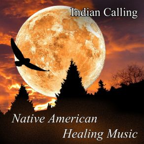Native American Healing Music album cover