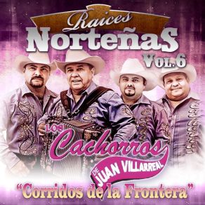 Raices Norteñas, Vol. 6: Corridos De La Frontera album cover
