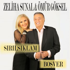 Bosver (Single) album cover