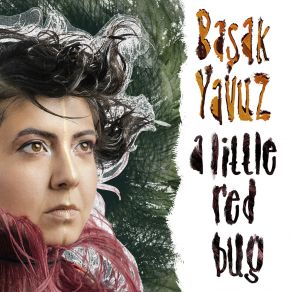 A Little Red Bug album cover